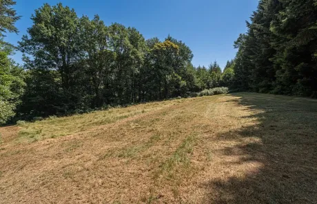 Captivating stone property in France, the Limousin - Your dream home awaits! , € 380,675, 364 m, 15000 m