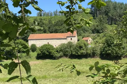 Domaine authentique et écologique avec son élevage de chevaux biologique et centre d'équithérapie
