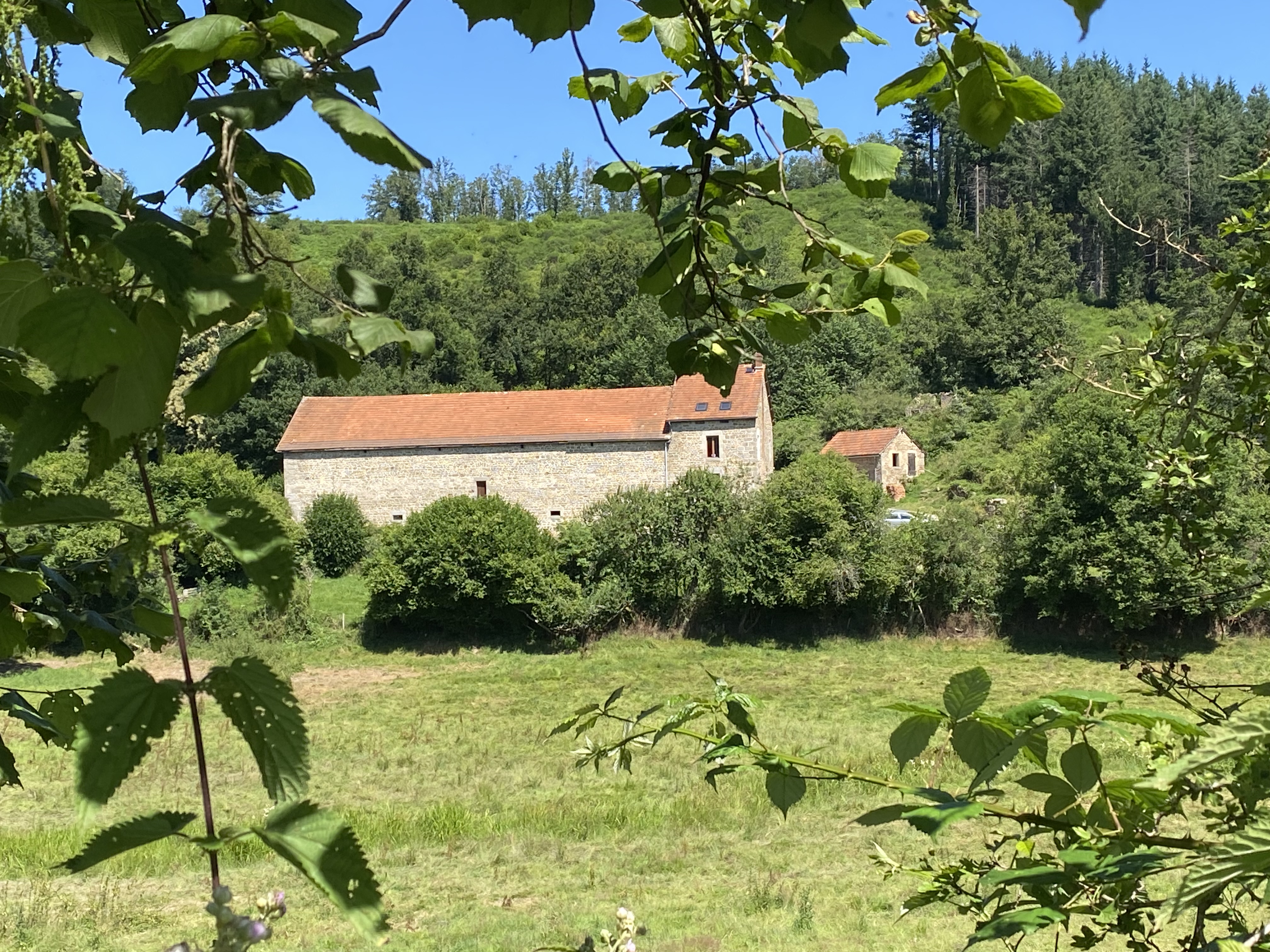 Domaine authentique et écologique avec son élevage de chevaux biologique et centre d'équithérapie