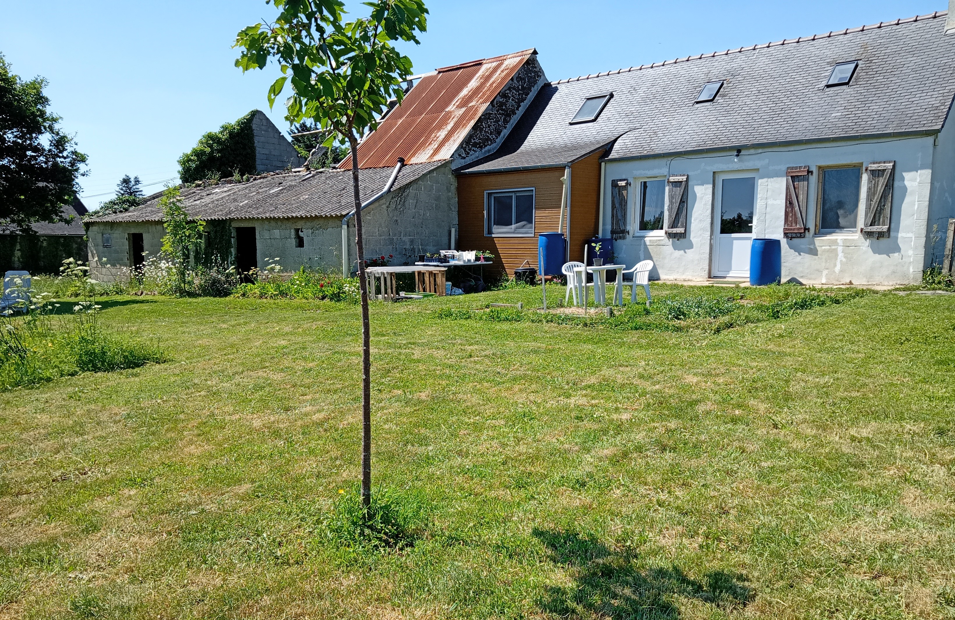 House with Outbuildings – Peaceful Setting