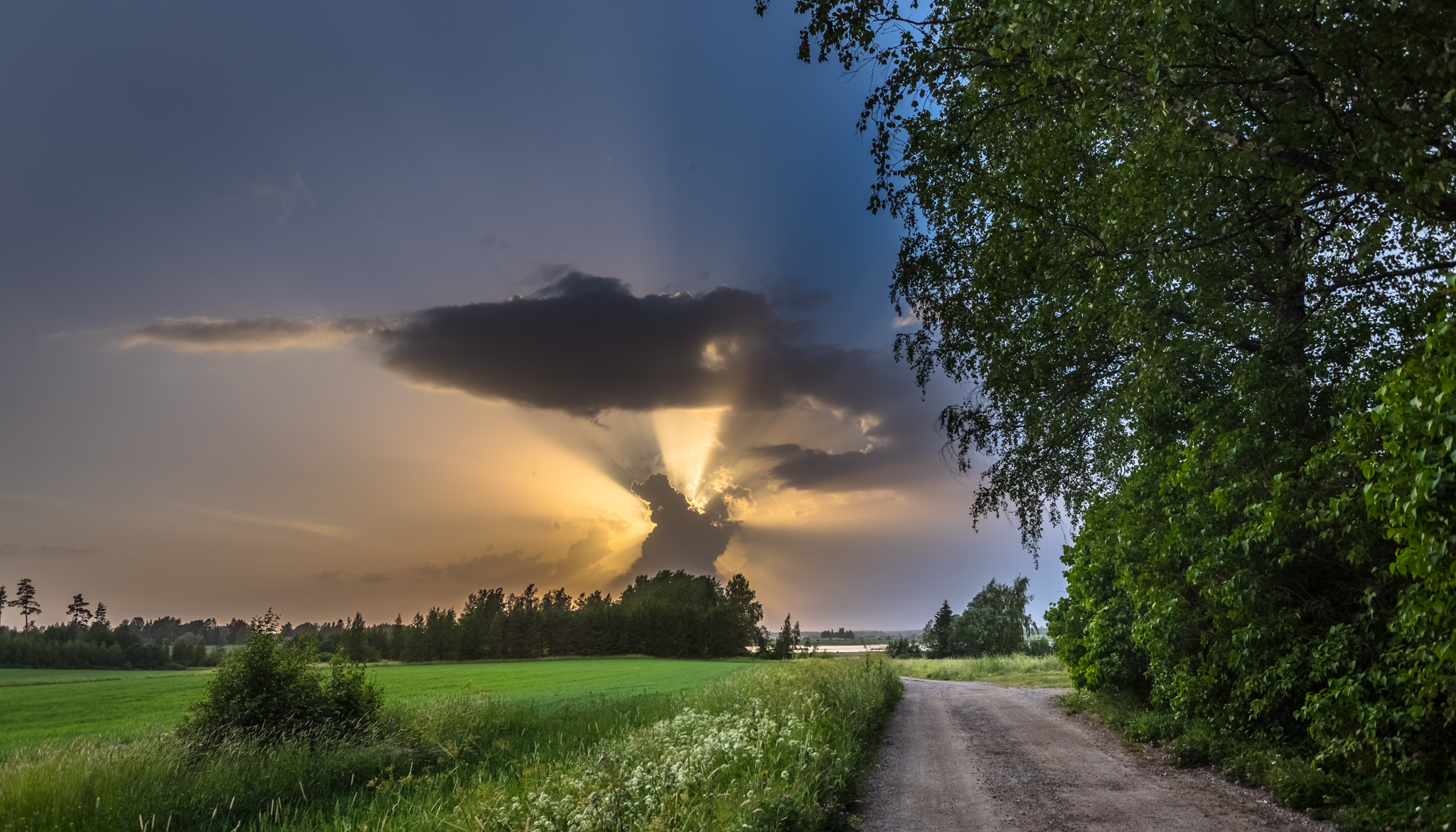 Propriété de campagne avec habitat écoénergétique - Finlande