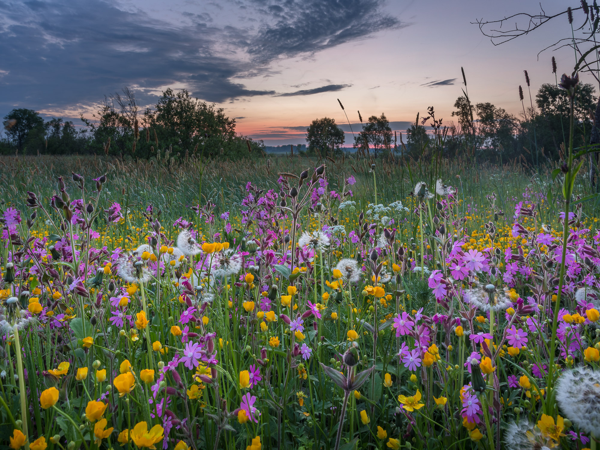 Propriété de campagne avec habitat écoénergétique - Finlande