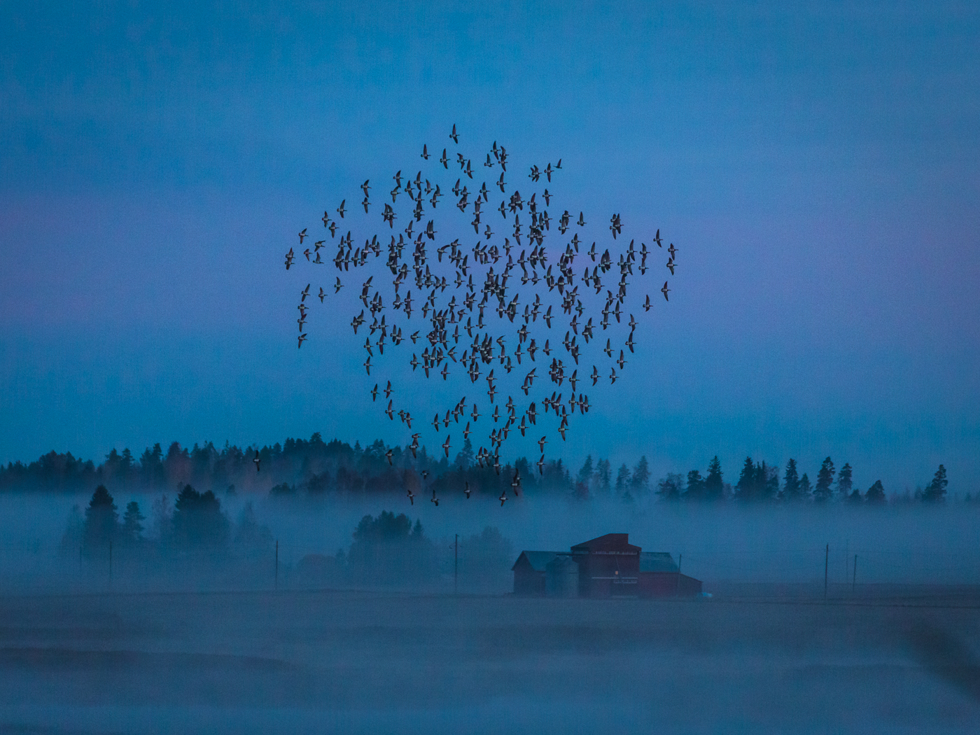 Propriété de campagne avec habitat écoénergétique - Finlande